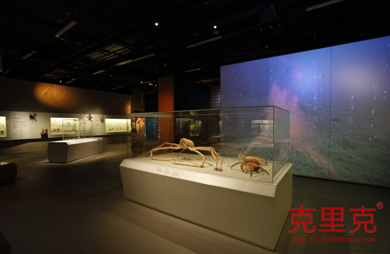 博物館桌式展柜尺寸設(shè)計標準